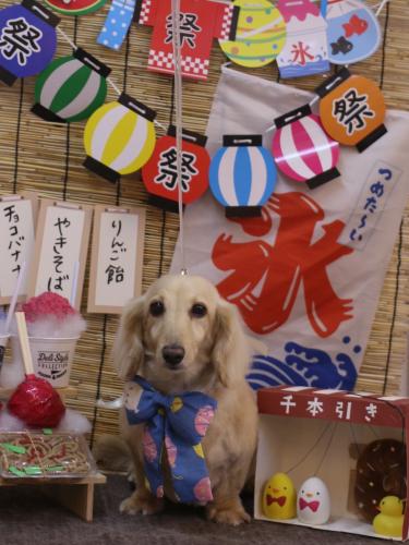 20240716きなこちゃん